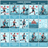 Qué tipo de cardio es mejor mientras se usa Undecanoato de testosterona