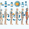 Cuánto tarda el cuerpo en regularse tras Clenbuterol