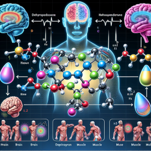 Dehydroepiandrosteron en fases de activación neuromuscular